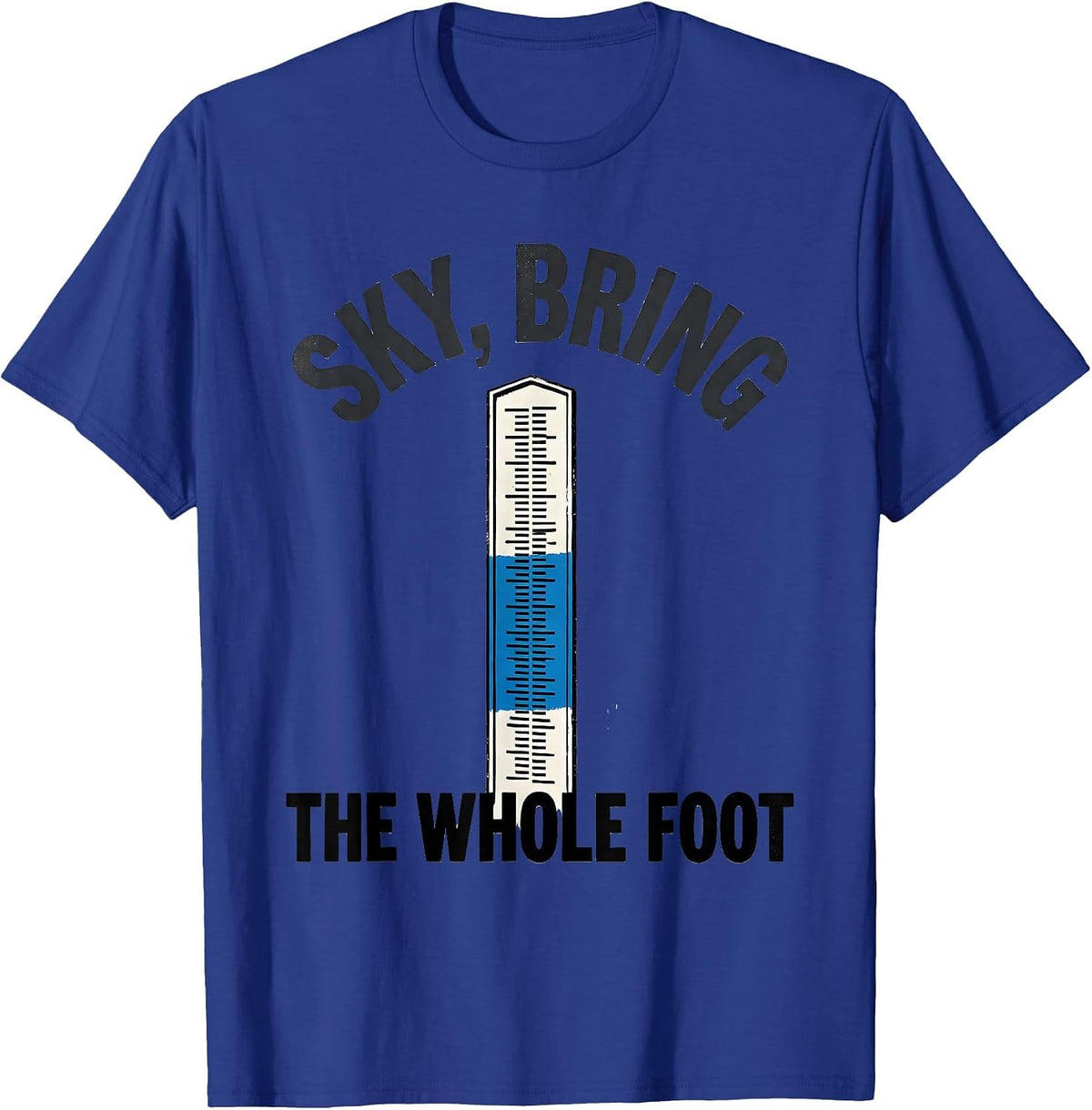 Men's Sky Bring The Whole Foot Funny Weather Enthusiast Vintage T-Shirt - Royal Blue