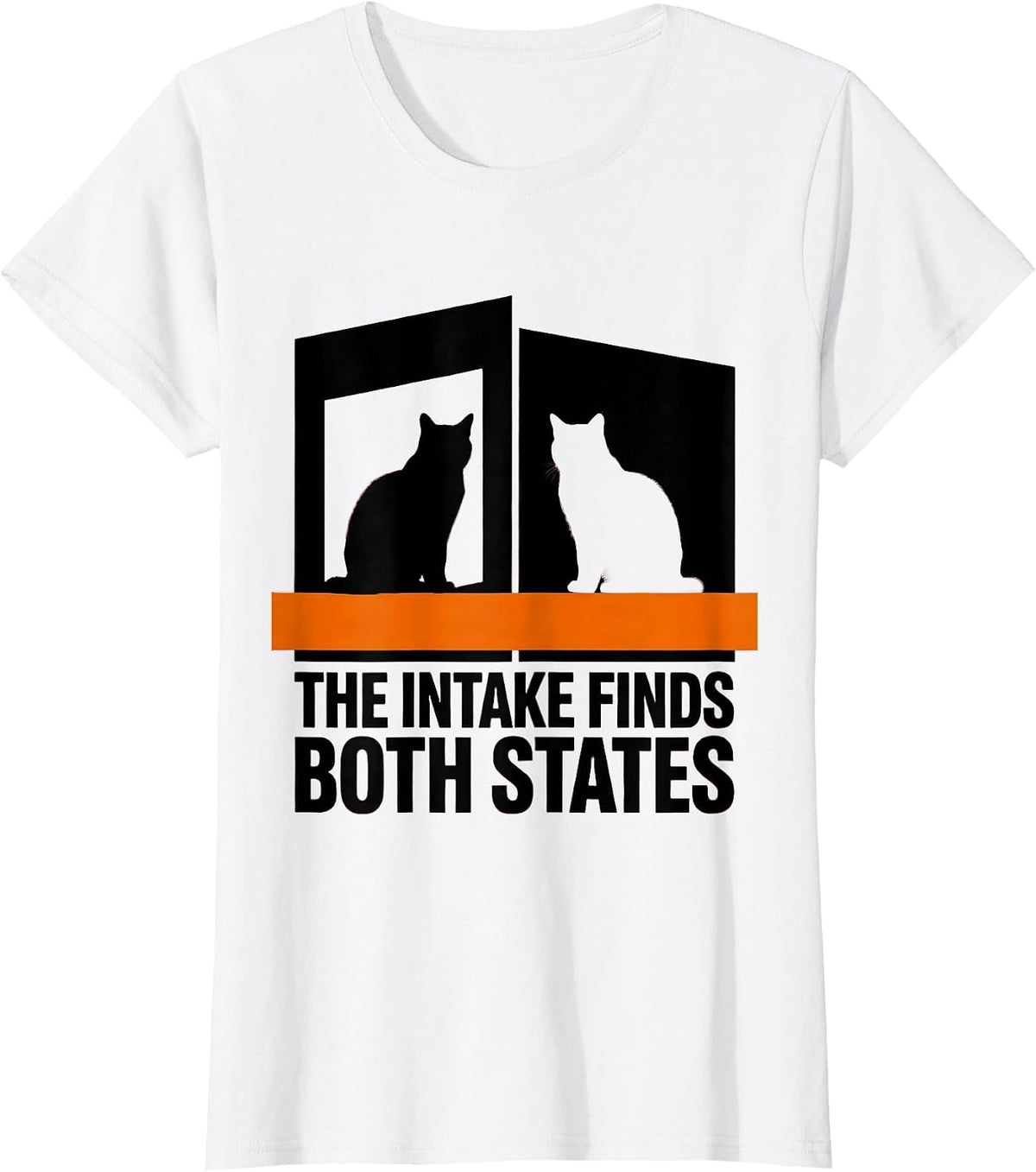 The Intake Finds Both States Brutalist Physics Nerd Humor T-Shirt - White