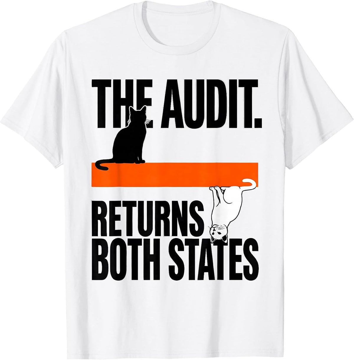 Men's The Audit Returns Both States Brutalist Physics Nerd Humor T-Shirt - White