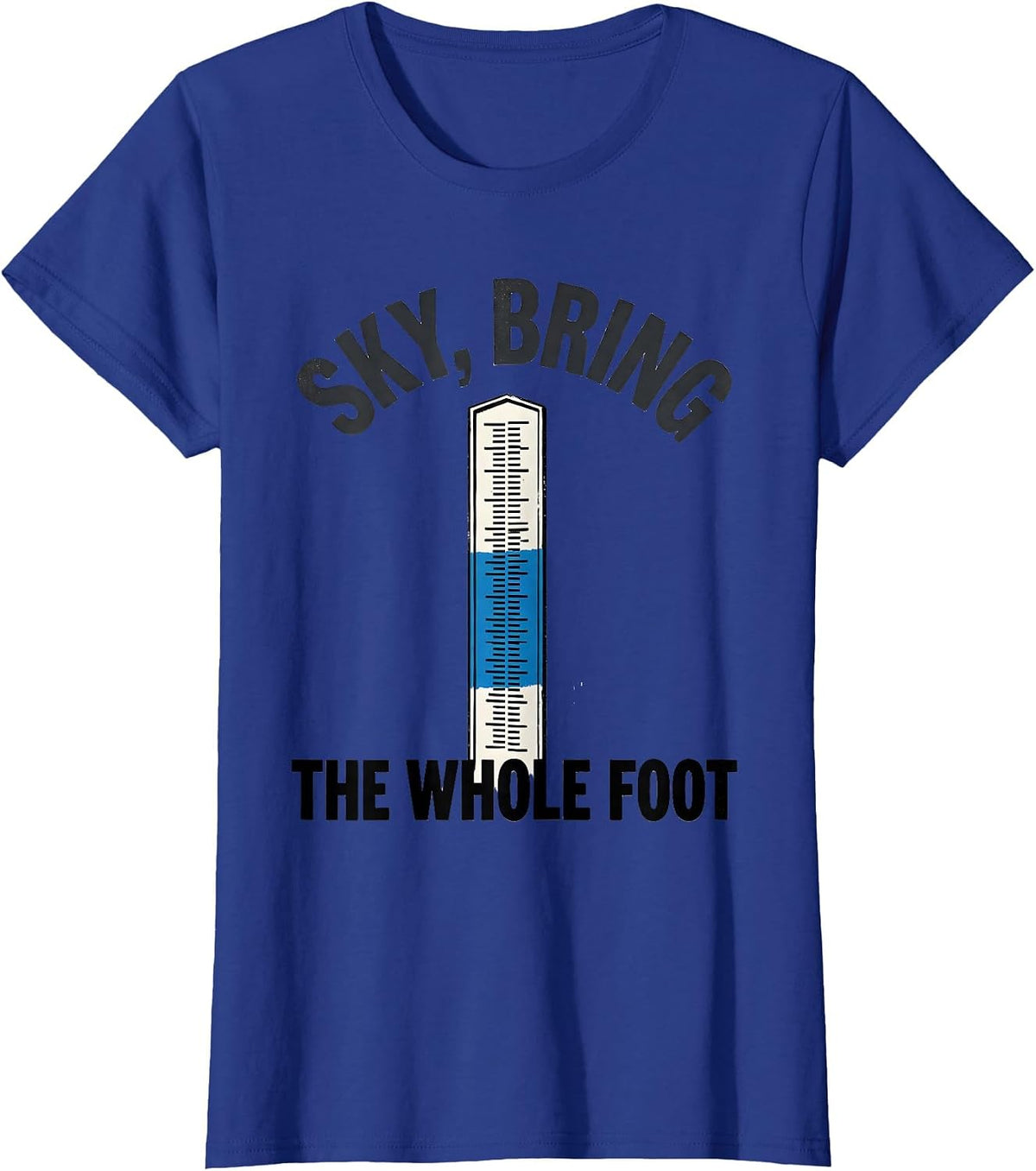 Women's Sky Bring The Whole Foot Funny Weather Enthusiast Vintage T-Shirt - Royal Blue