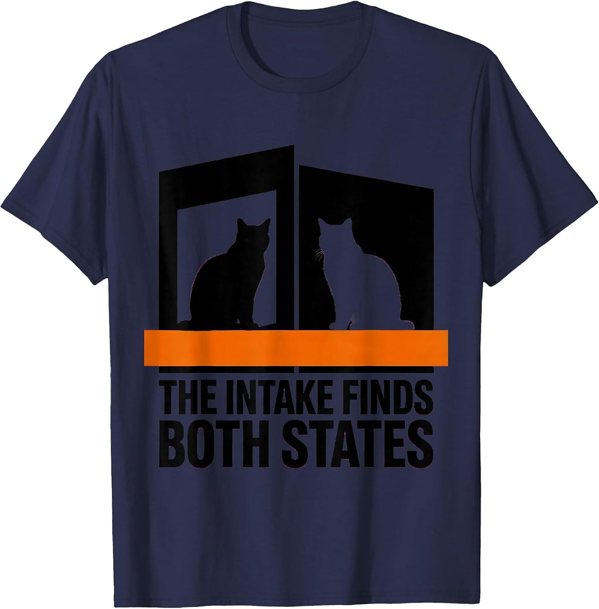 The Intake Finds Both States Brutalist Physics Nerd Humor T-Shirt - Navy Blue