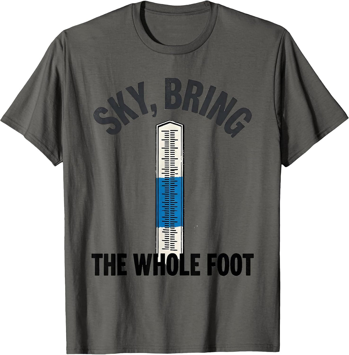 Men's Sky Bring The Whole Foot Funny Weather Enthusiast Vintage T-Shirt - Asphalt Grey
