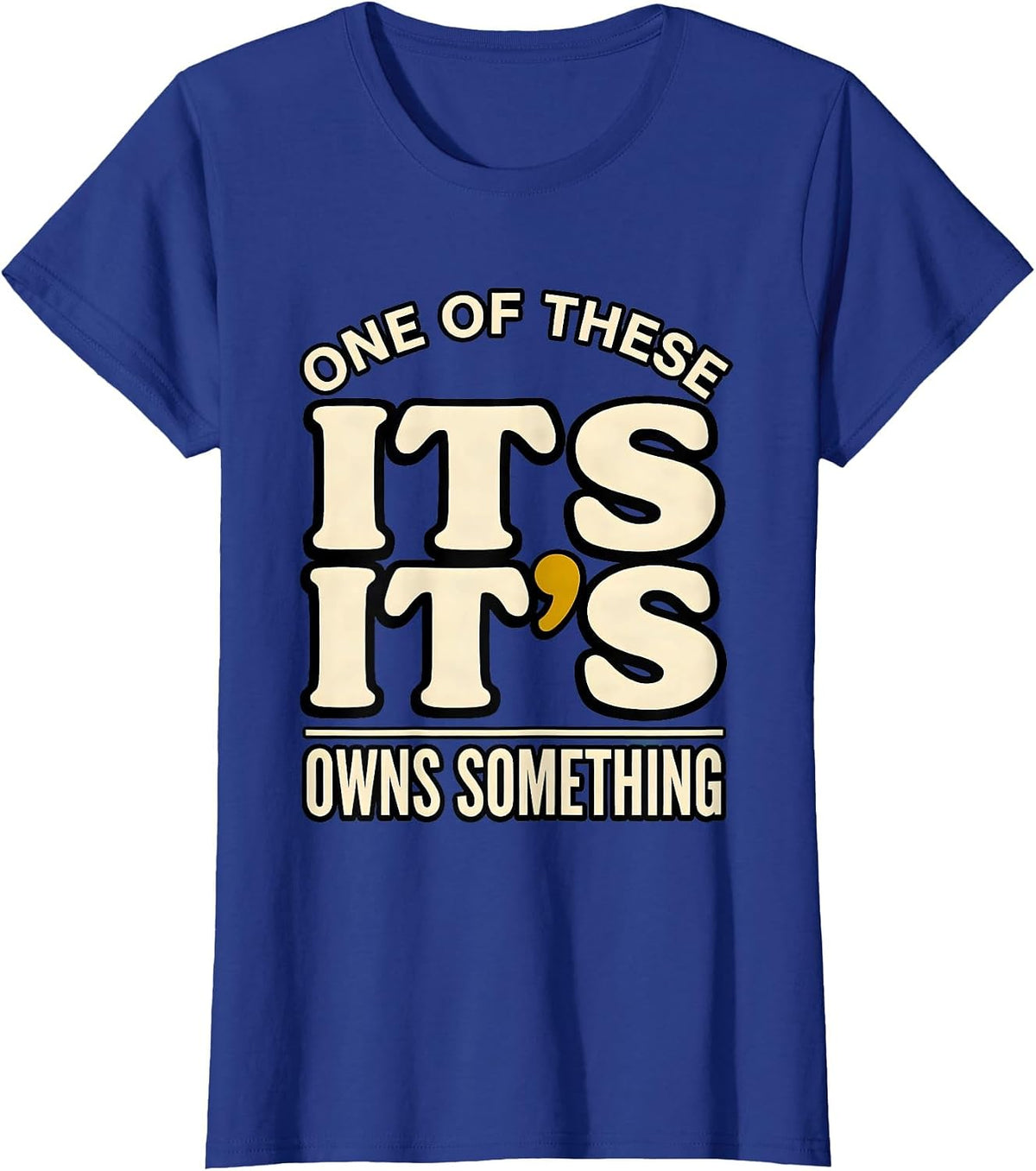 Women's Its Its One Of These Owns Something Funny Grammar Teacher T-Shirt - Royal Blue