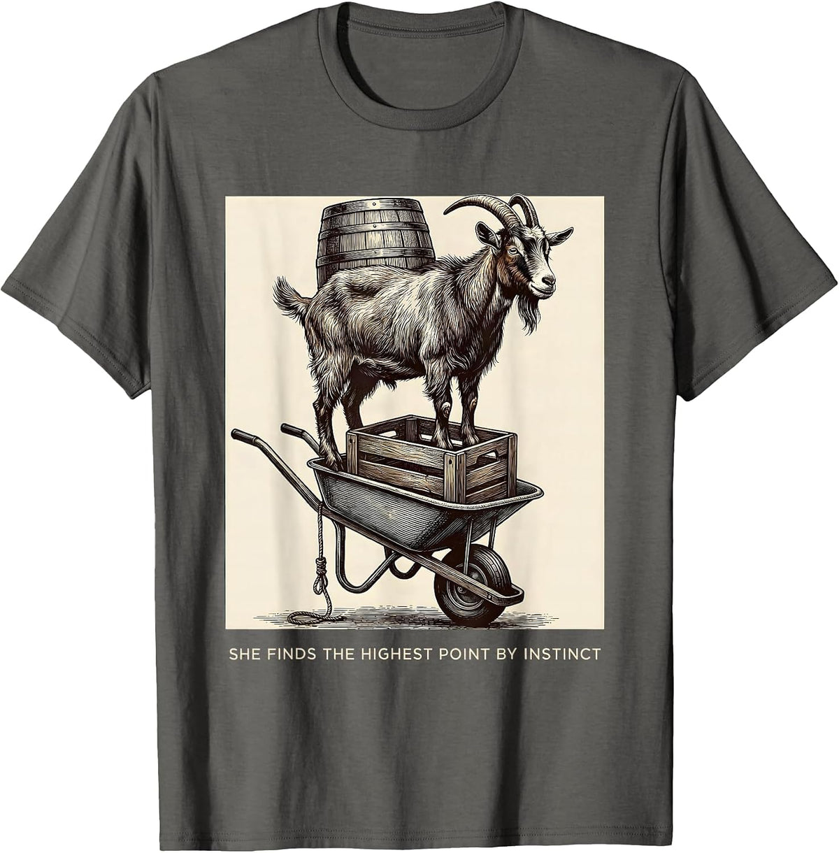 She Finds The Highest Point By Instinct Funny Goat Lover T-Shirt - Asphalt Grey