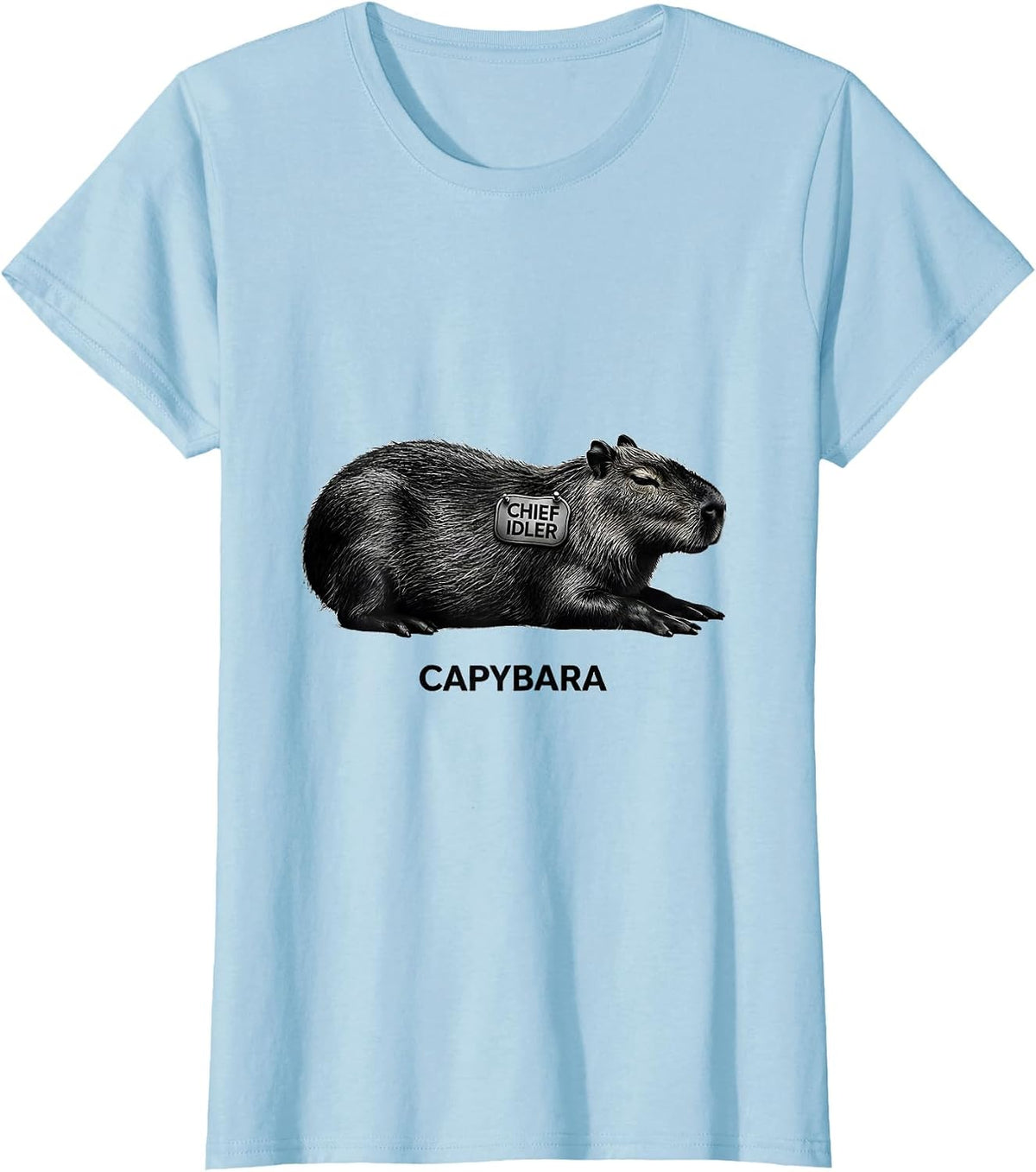 Women's Capybara, Chief Idler Funny Capybara Gamer Gaming Humor T-Shirt - Baby Blue