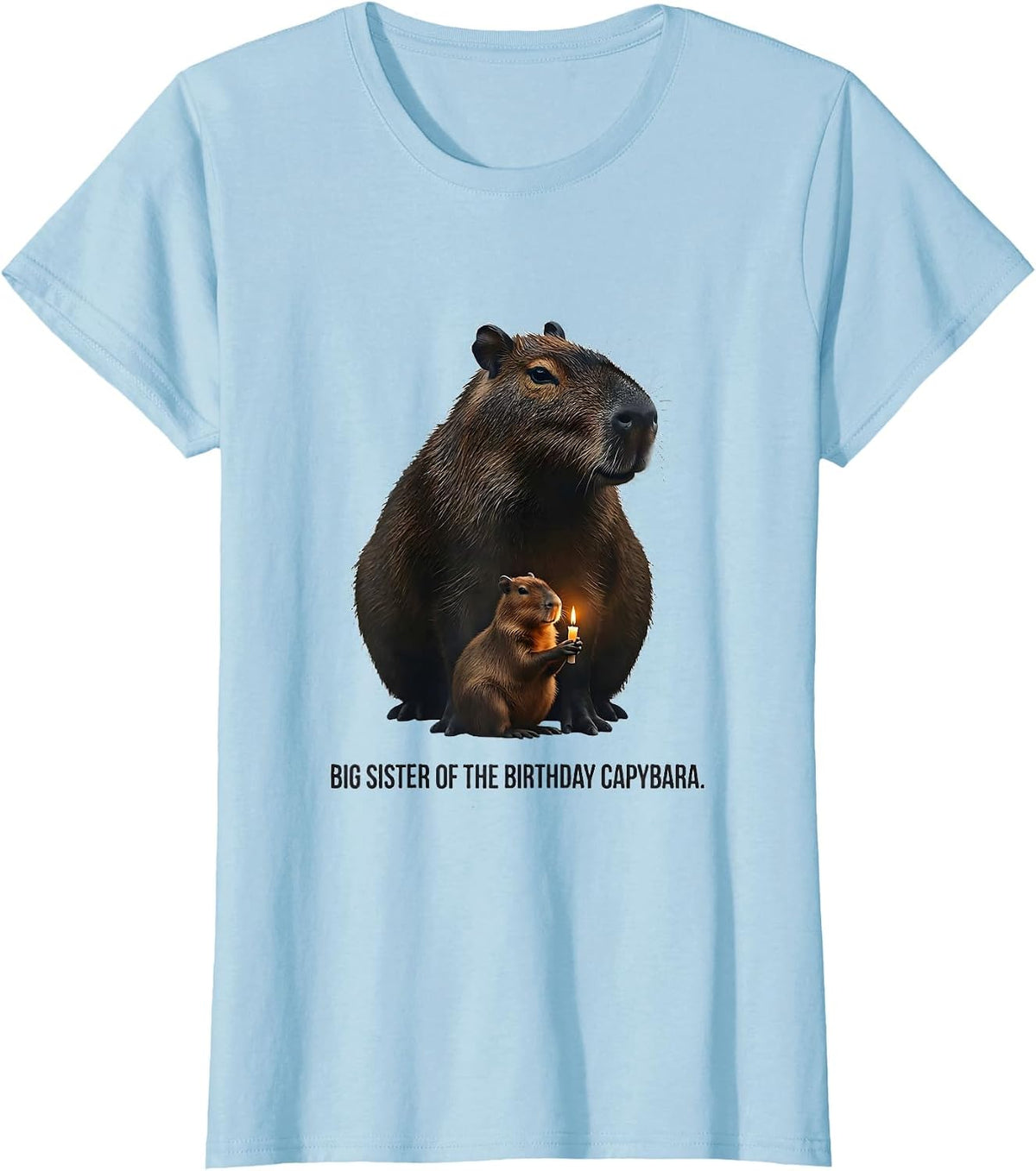 Women's Big Sister Of The Birthday Capybara Kawaii Girl Cute Animal T-Shirt - Baby Blue