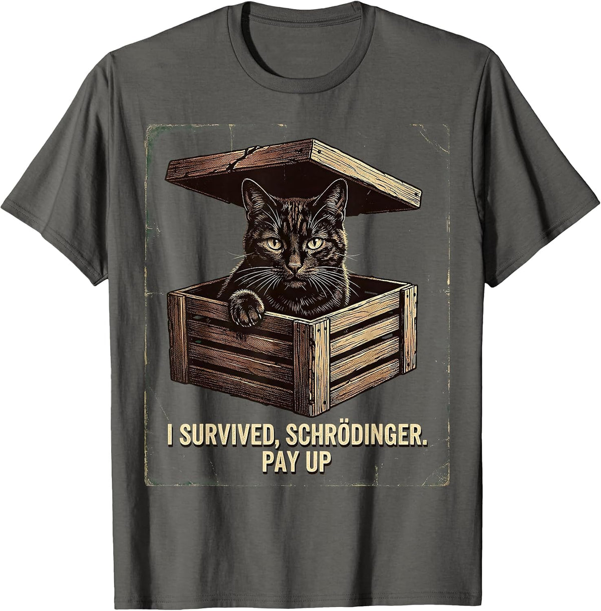 Men's I Survived, Schrödinger. Pay Up Vintage Science Teacher T-Shirt - Asphalt Grey