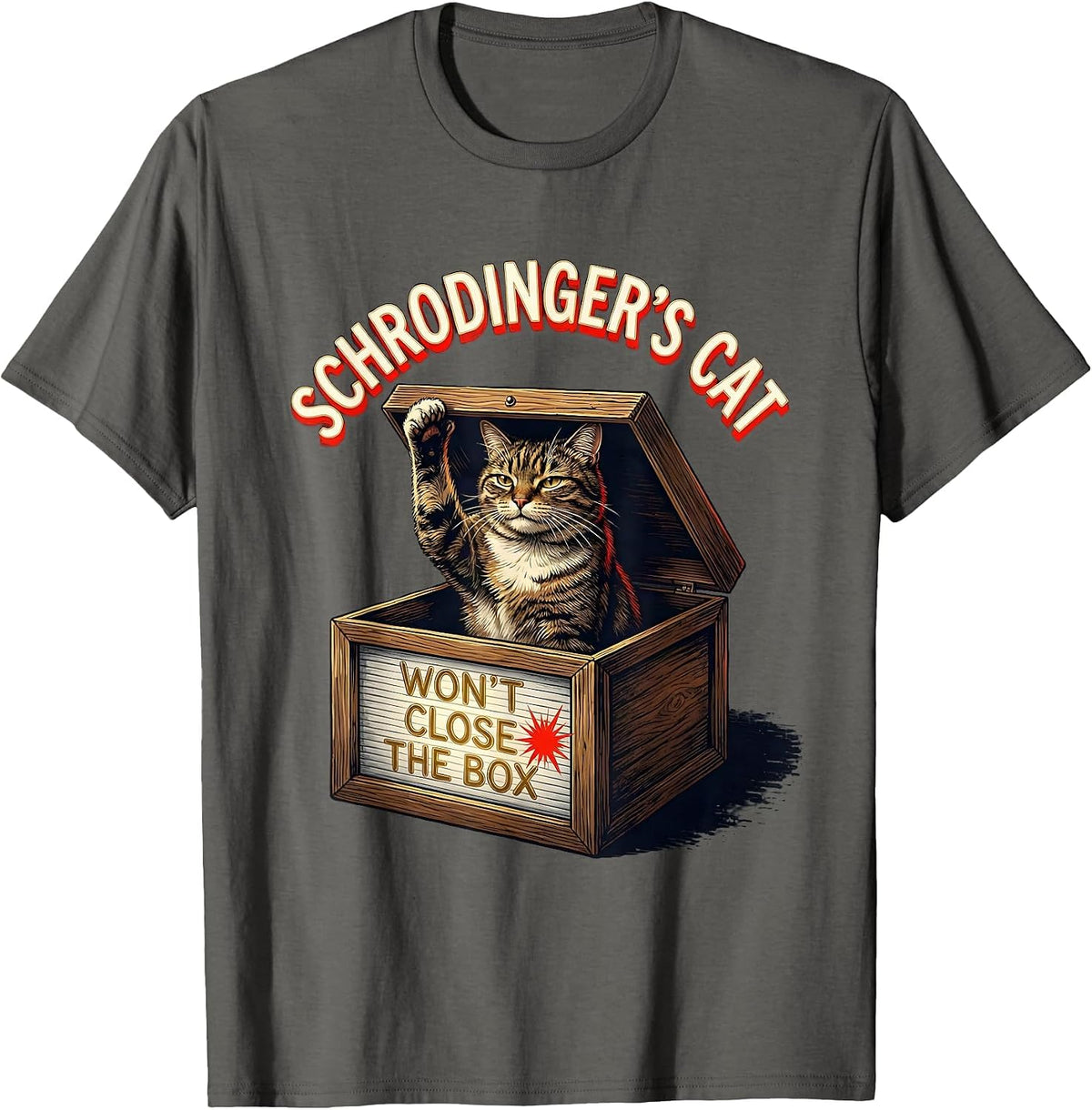 Men's Schrodinger's Cat Won't Close The Box Funny Quantum Physics T-Shirt - Asphalt Grey