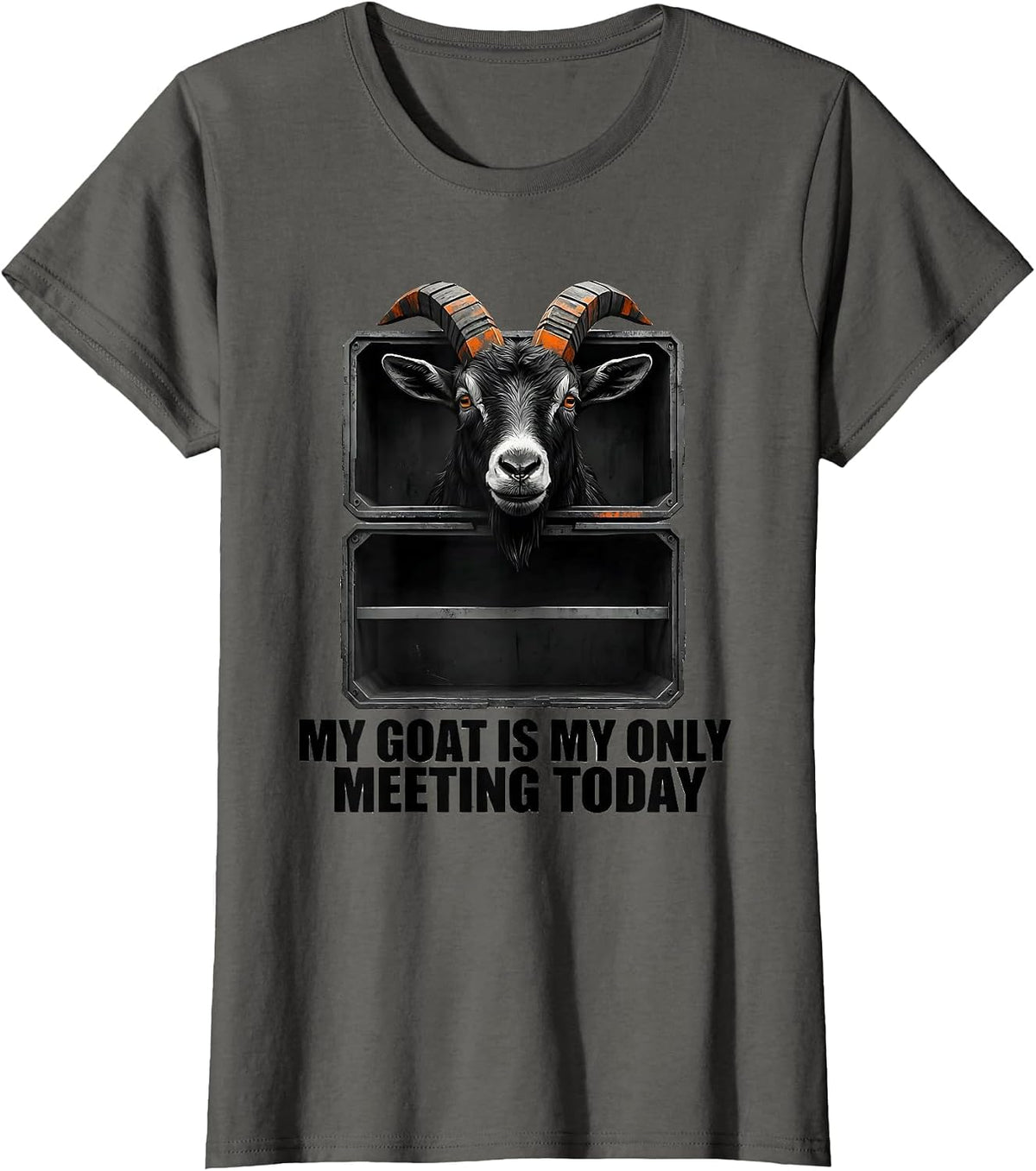 Women's My Goat Is My Only Meeting Today Brutalist Pet Owner Humor T-Shirt - Asphalt Grey