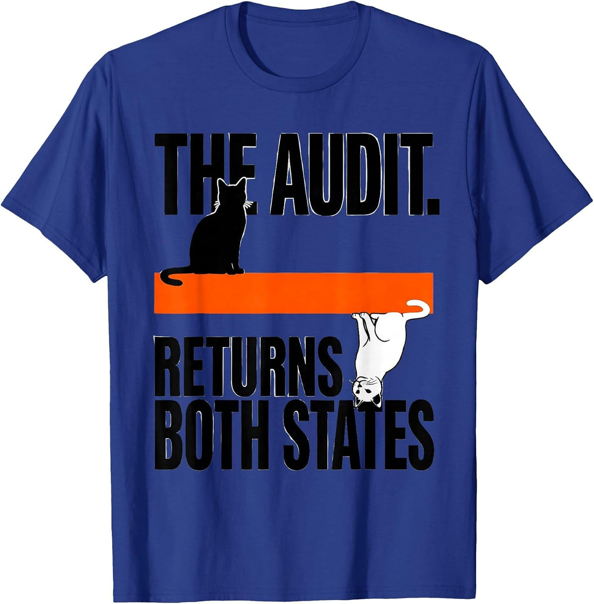 Men's The Audit Returns Both States Brutalist Physics Nerd Humor T-Shirt - Royal Blue