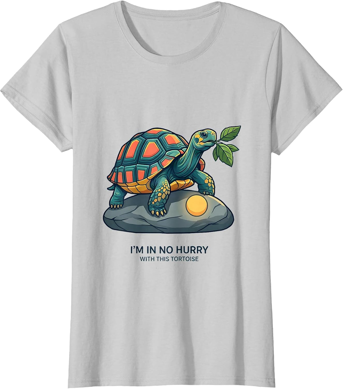 I'm In No Hurry With This Tortoise Funny Tortoise Lover Pet T-Shirt - Silver Grey