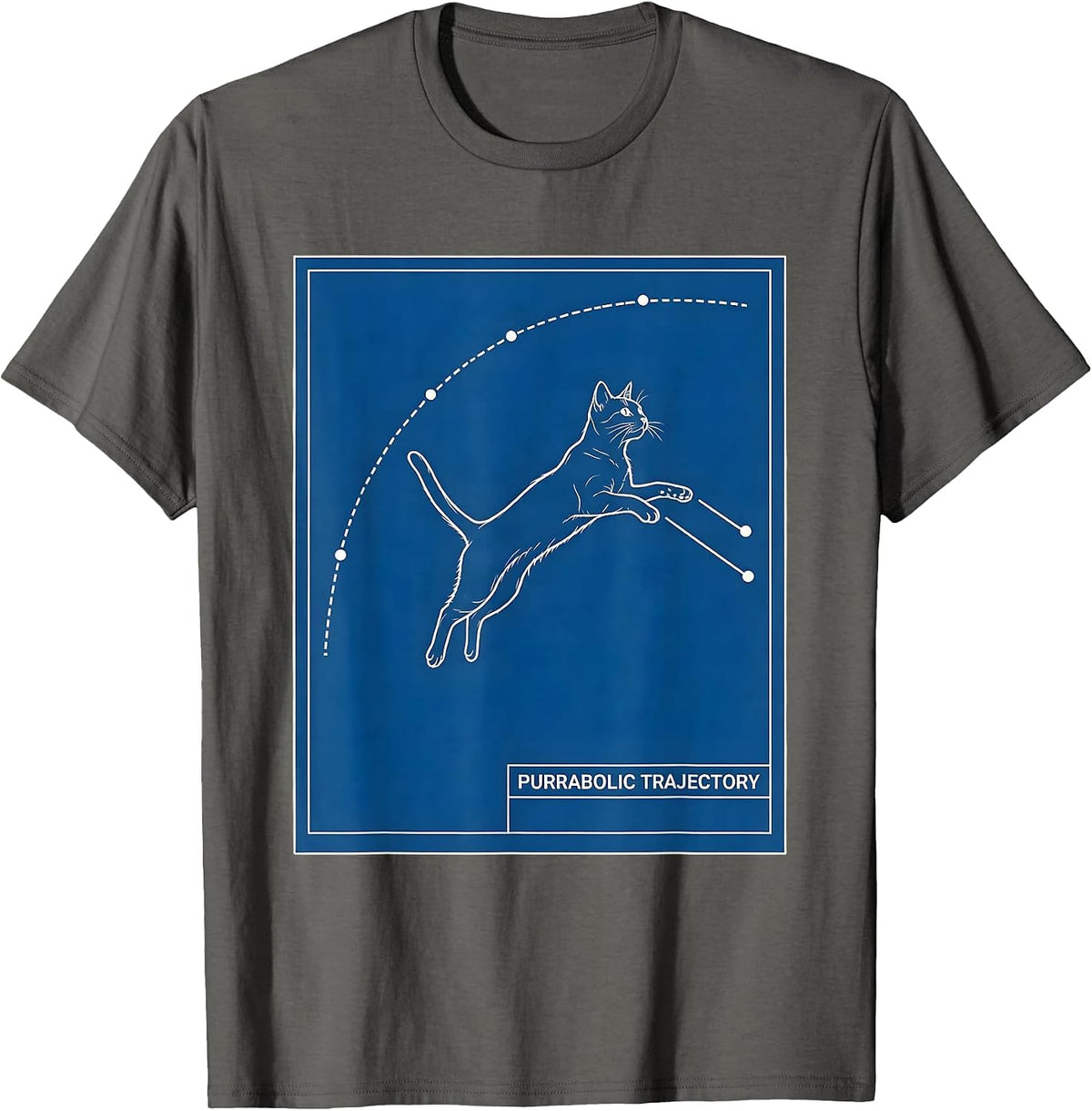 Purrabolic Trajectory Funny Science Cat Teacher Student Math T-Shirt - Asphalt Grey