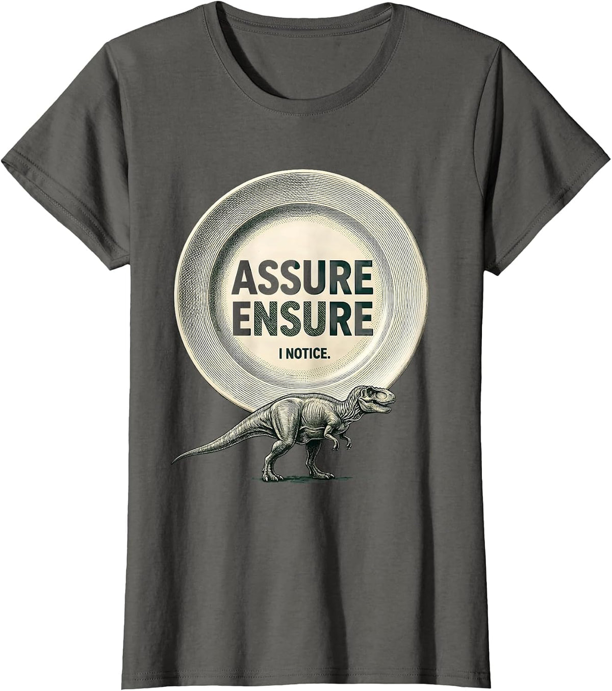 Women's Assure Ensure I Notice Funny Grammar Teacher Dinosaur Humor T-Shirt - Asphalt Grey
