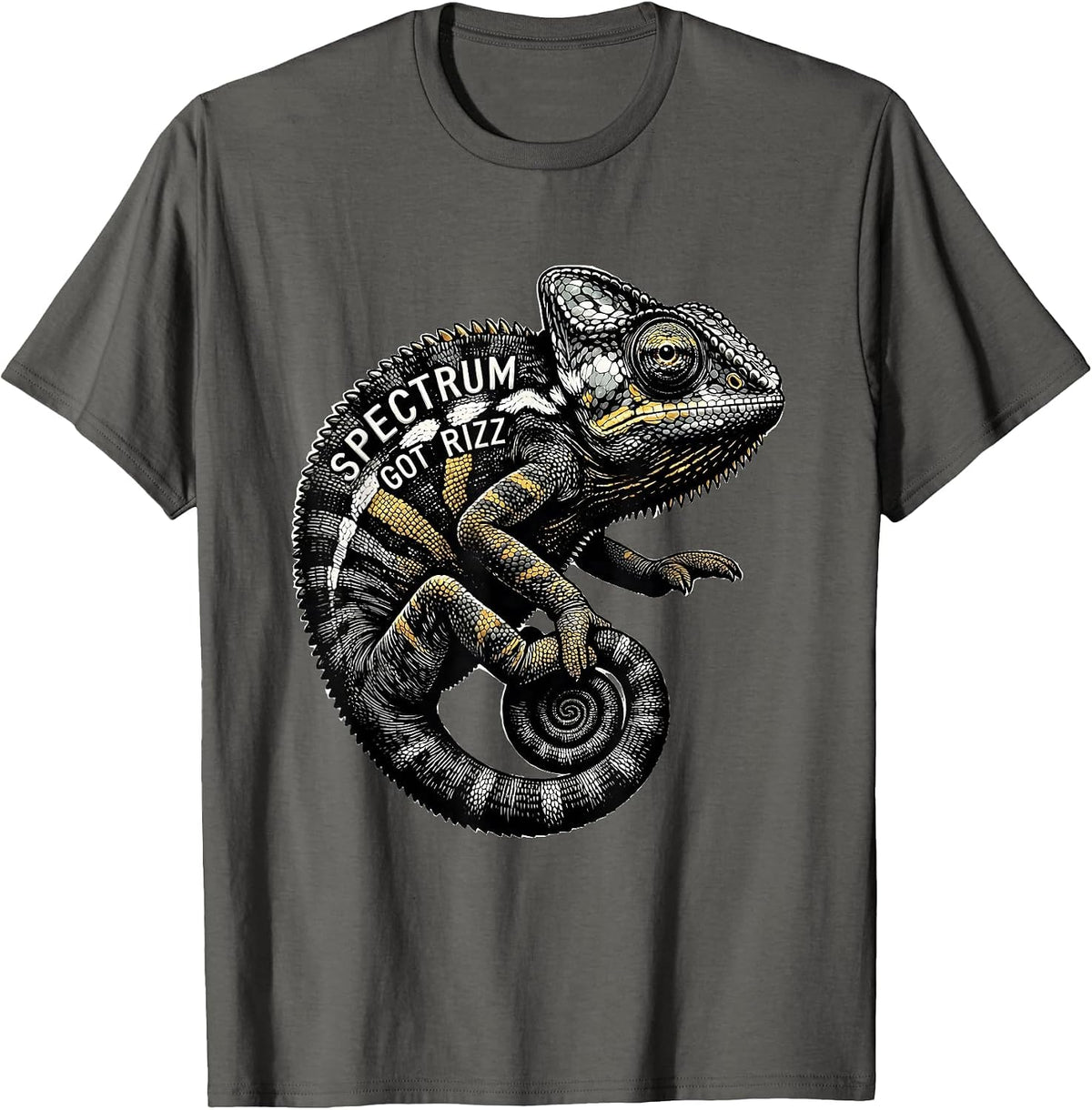 Spectrum Got Rizz Autism Awareness Design T-Shirt - Asphalt Grey