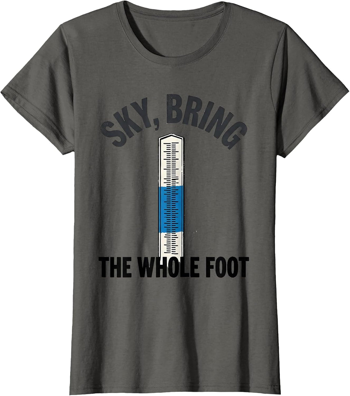 Women's Sky Bring The Whole Foot Funny Weather Enthusiast Vintage T-Shirt - Asphalt Grey