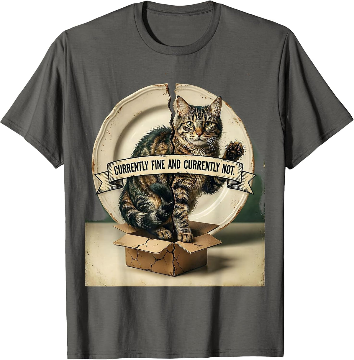Currently Fine And Currently Not Vintage Science Cat Quantum T-Shirt - Asphalt Grey