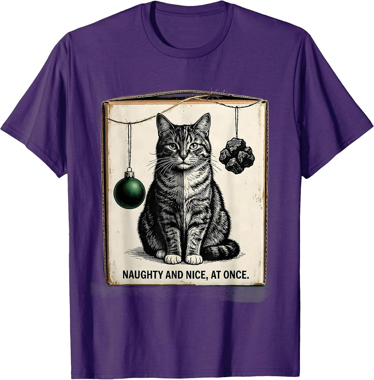 Naughty And Nice At Once Vintage Quantum Physics Cat Owner T-Shirt - Purple