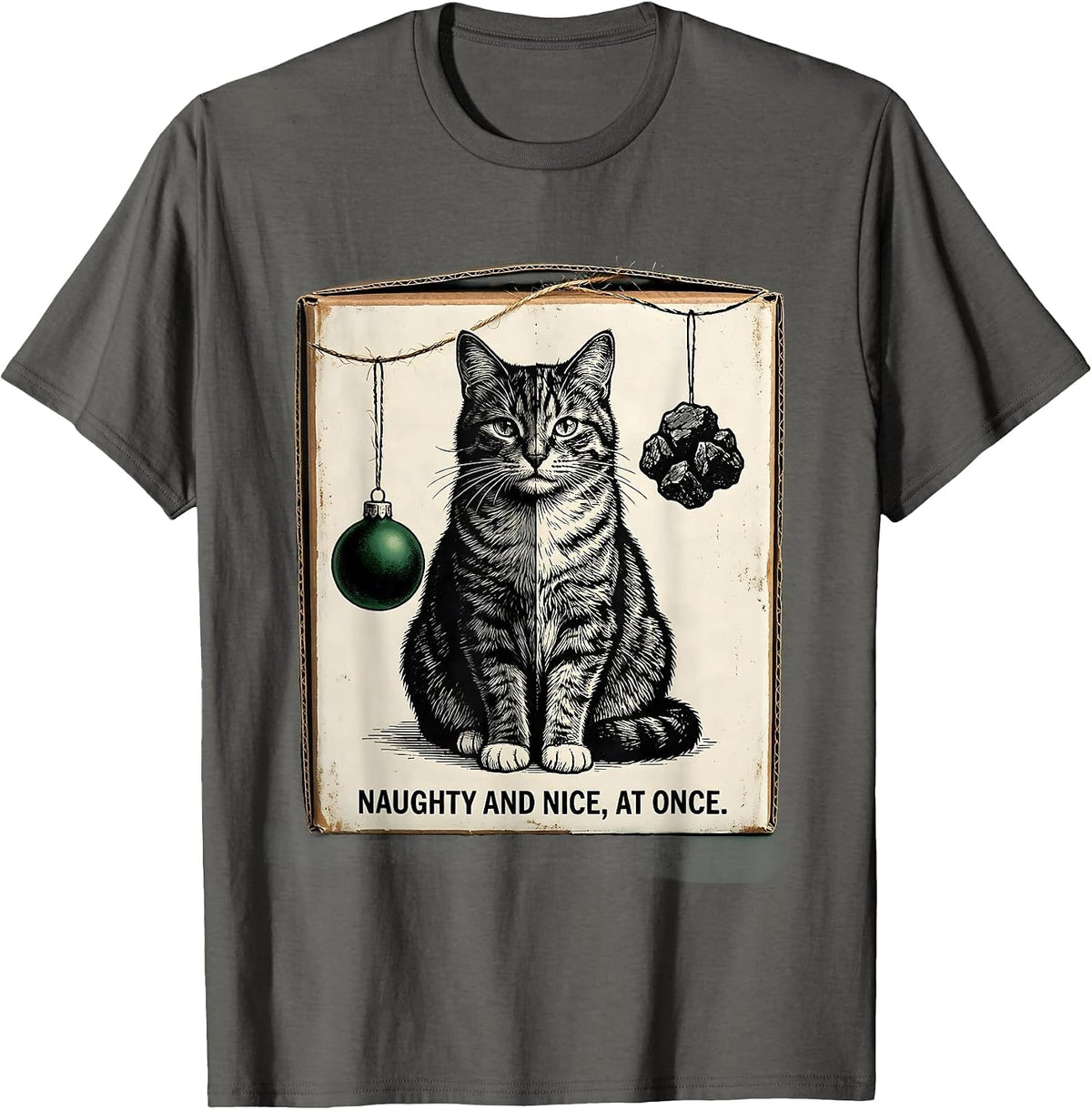 Naughty And Nice At Once Vintage Quantum Physics Cat Owner T-Shirt - Asphalt Grey