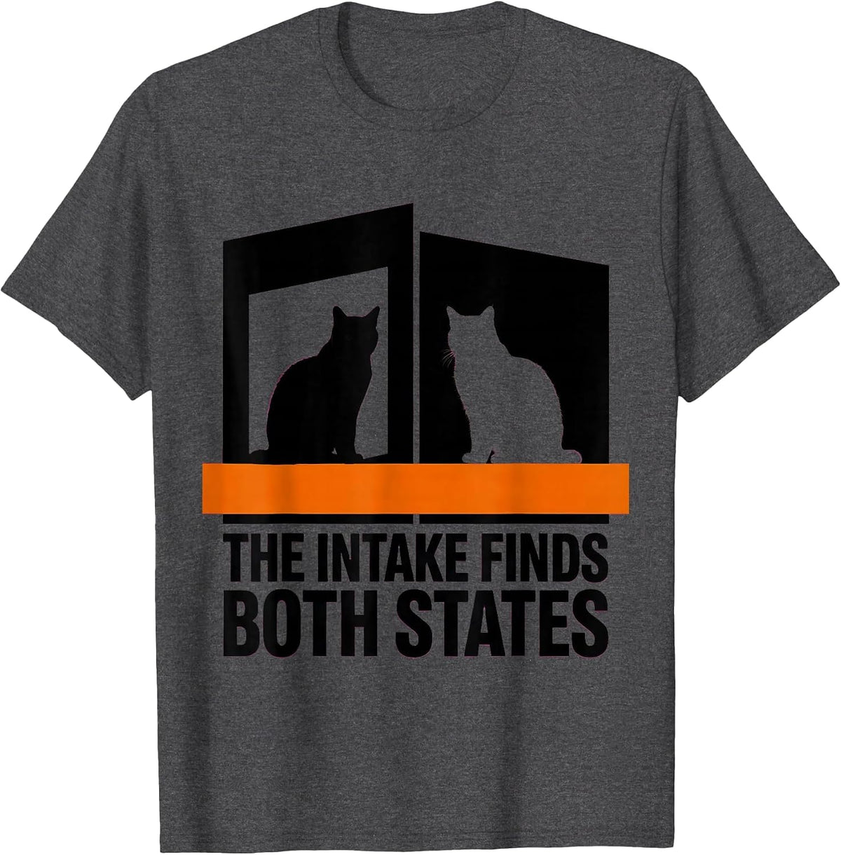 The Intake Finds Both States Brutalist Physics Nerd Humor T-Shirt - Dark Heather Grey