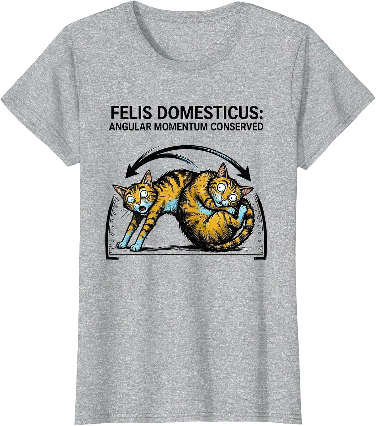 Women's Felis Domesticus: Angular Momentum Conserved Math Teacher T-Shirt - Heather Grey