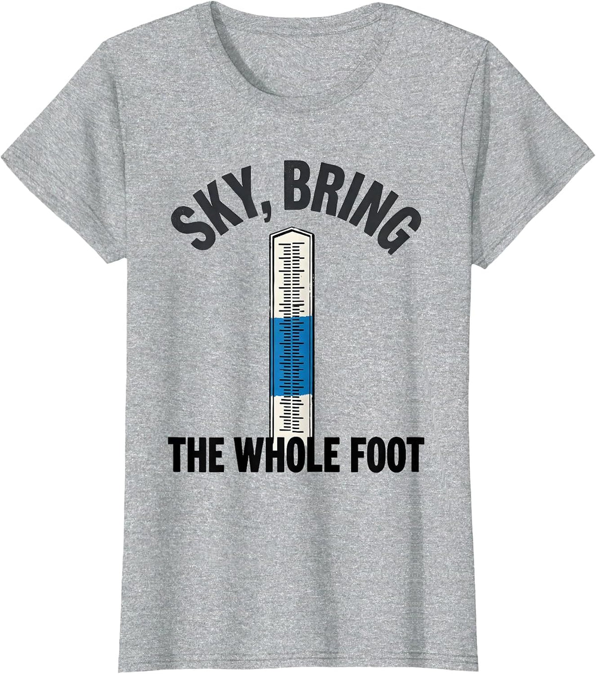 Women's Sky Bring The Whole Foot Funny Weather Enthusiast Vintage T-Shirt - Heather Grey
