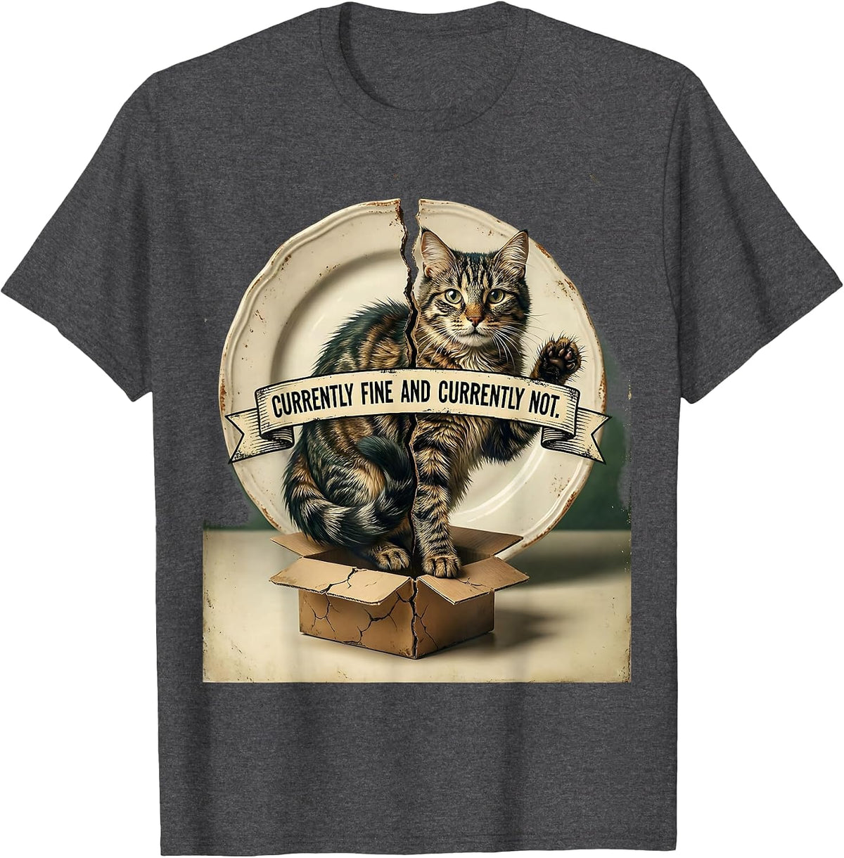 Currently Fine And Currently Not Vintage Science Cat Quantum T-Shirt - Dark Heather Grey