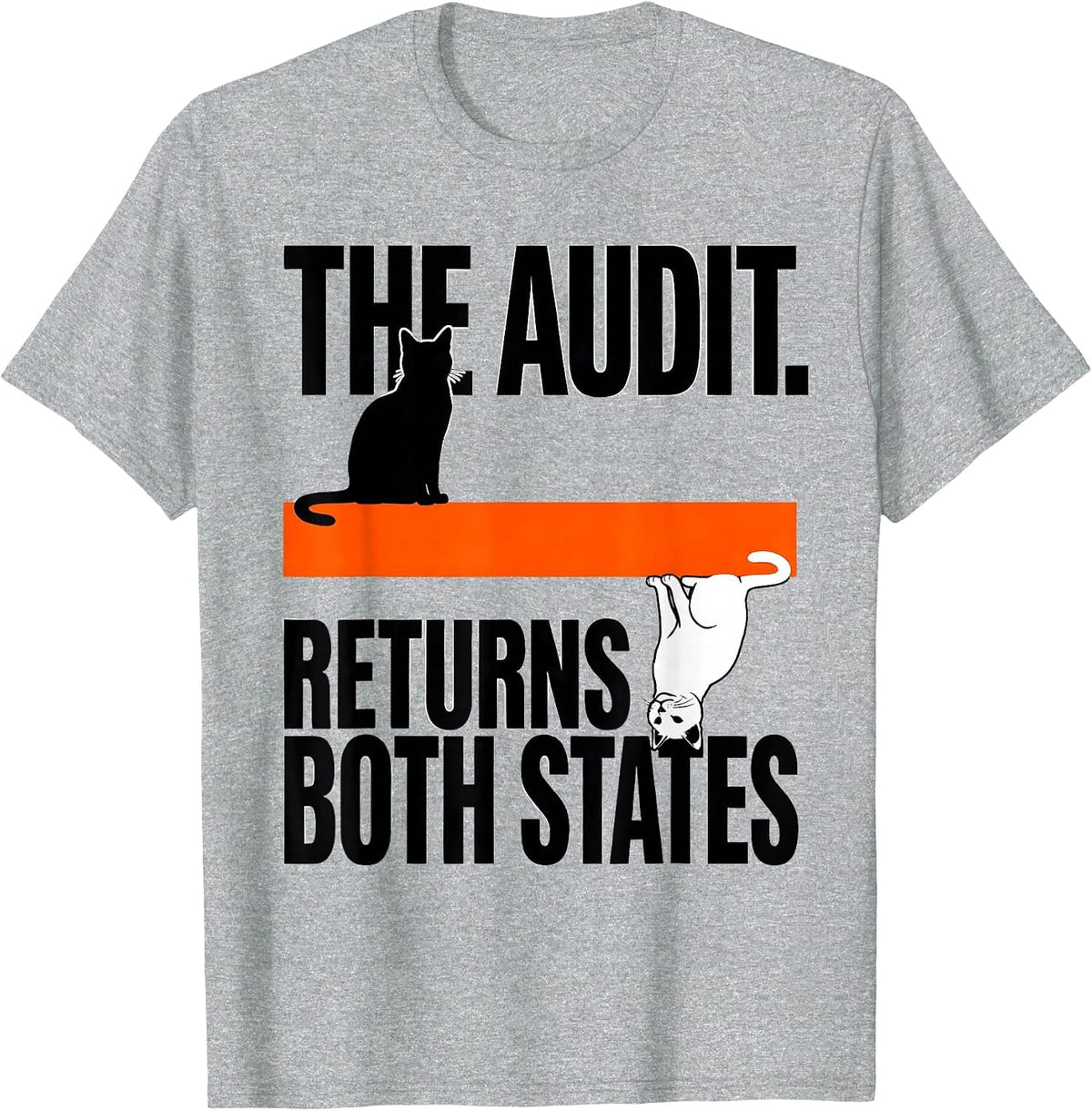 Men's The Audit Returns Both States Brutalist Physics Nerd Humor T-Shirt - Heather Grey
