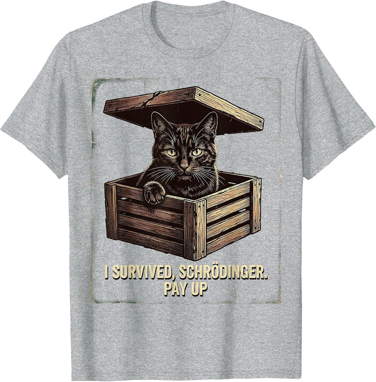 Men's I Survived, Schrödinger. Pay Up Vintage Science Teacher T-Shirt - Heather Grey