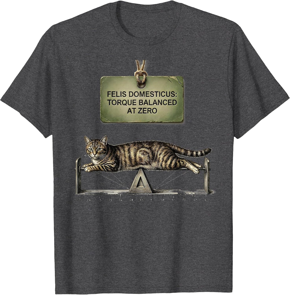 Men's Felis Domesticus: Torque Balanced At Zero Math Teacher T-Shirt - Dark Heather Grey