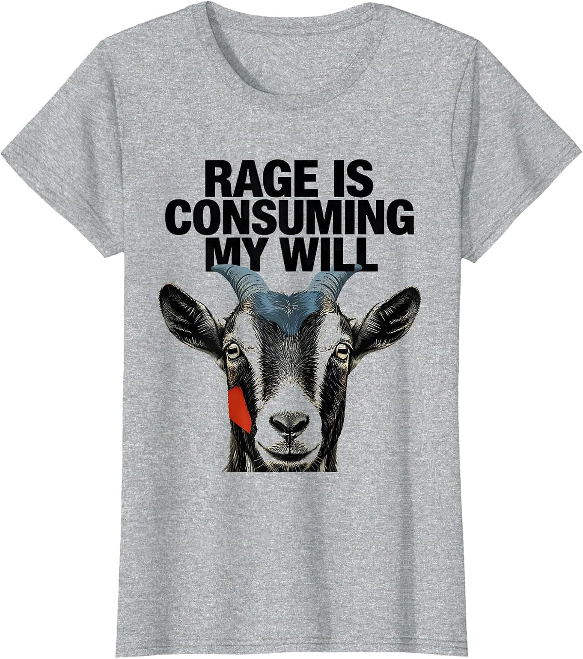 Women's Rage Is Consuming My Will Funny Cat Meme Humor T-Shirt - Heather Grey