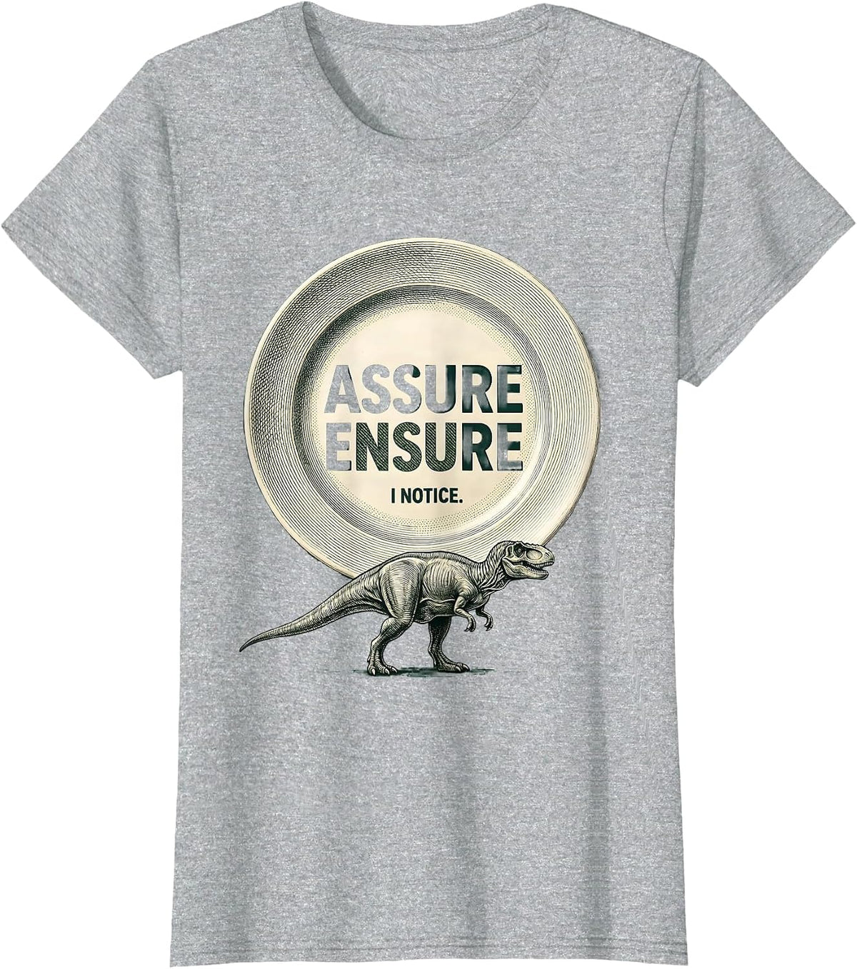Women's Assure Ensure I Notice Funny Grammar Teacher Dinosaur Humor T-Shirt - Heather Grey