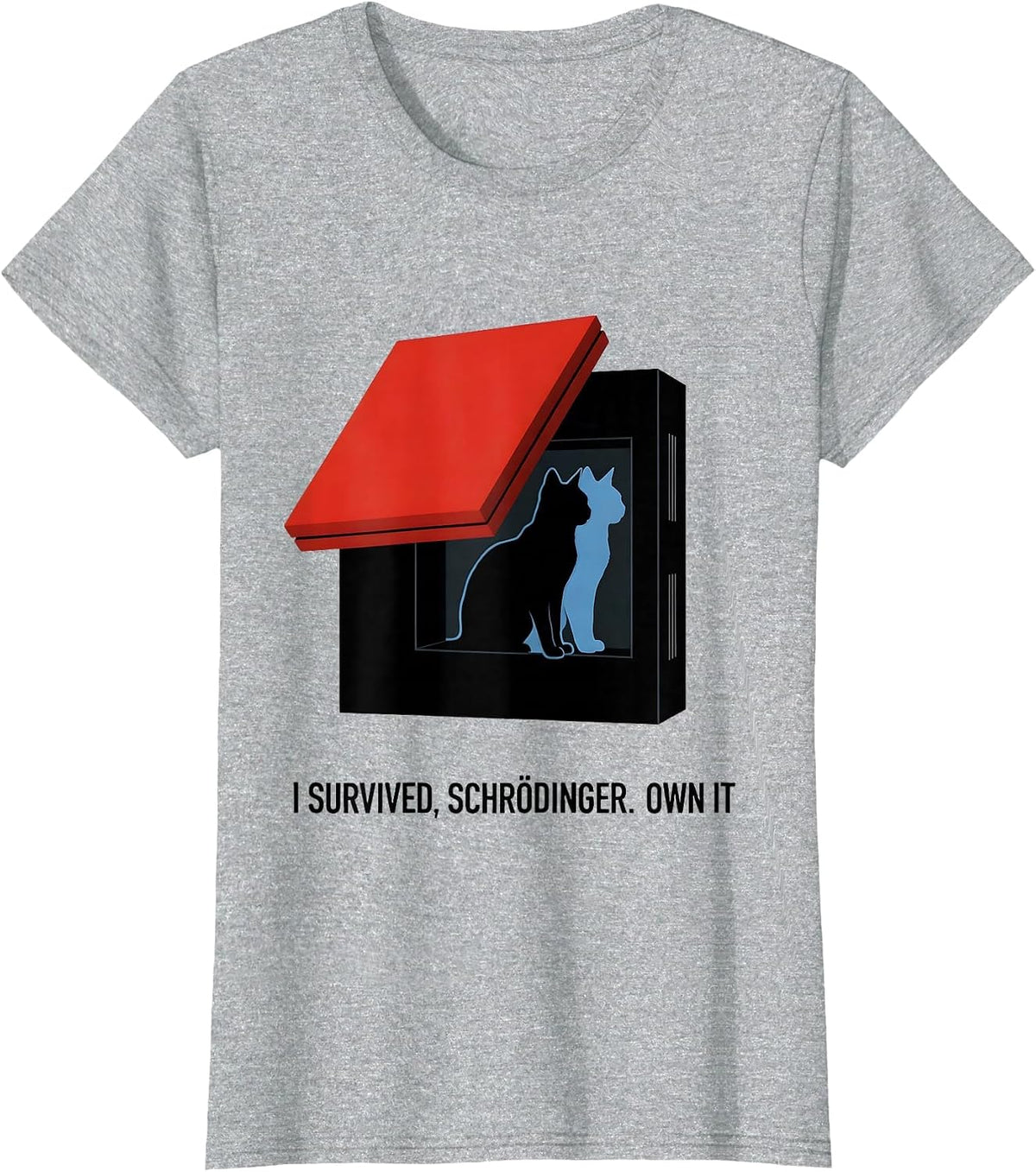 I Survived, Schrödinger Own It Bauhaus Modernist Science T-Shirt - Heather Grey