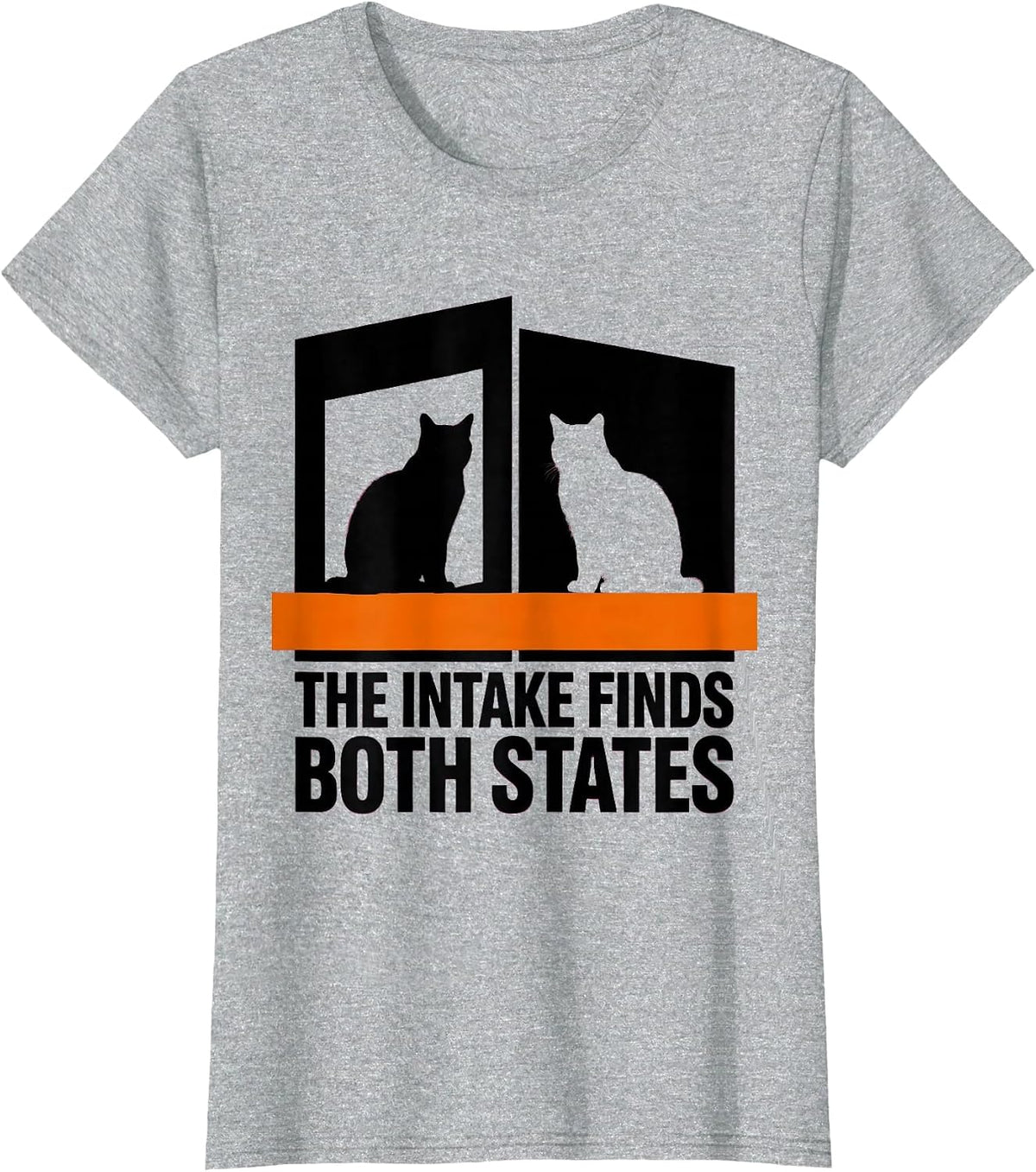 The Intake Finds Both States Brutalist Physics Nerd Humor T-Shirt - Heather Grey
