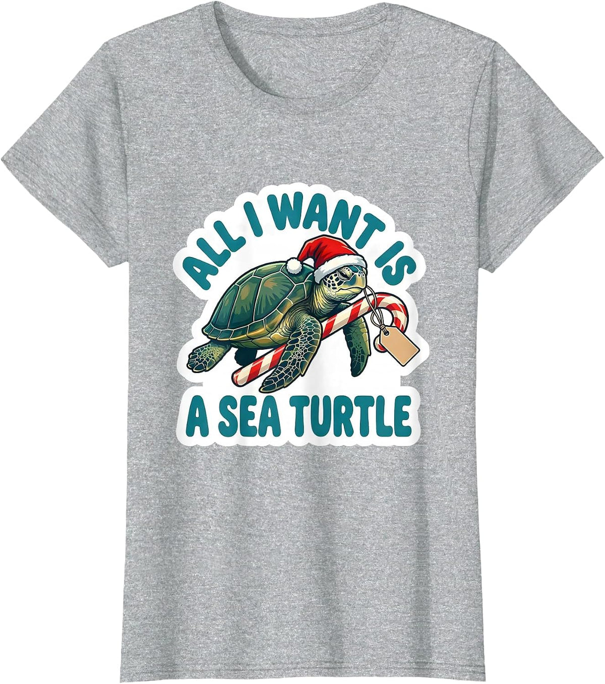 Women's All I Want Is A Sea Turtle Funny Sea Turtle Lover Christmas T-Shirt - Heather Grey