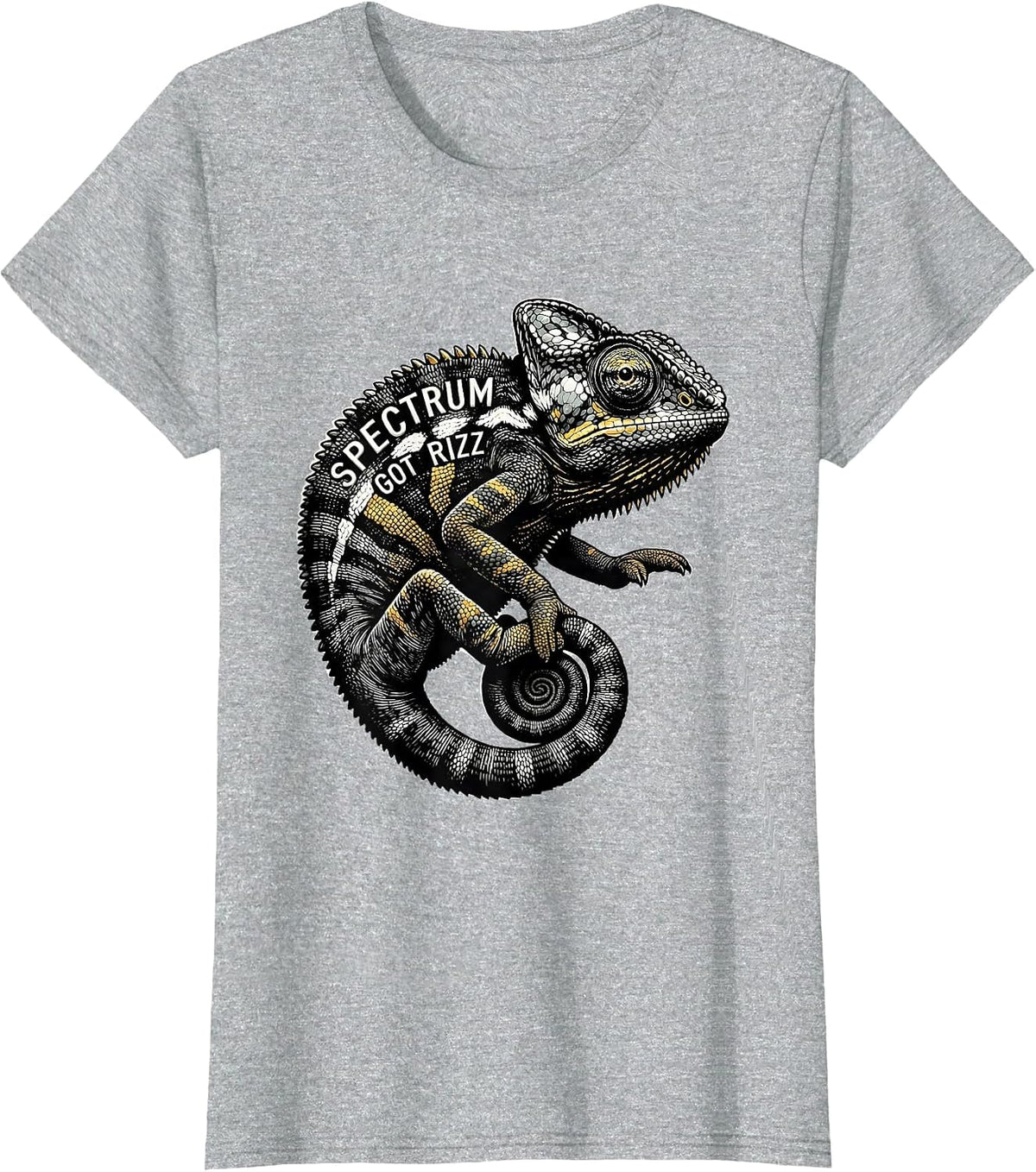 Spectrum Got Rizz Autism Awareness Design T-Shirt - Heather Grey