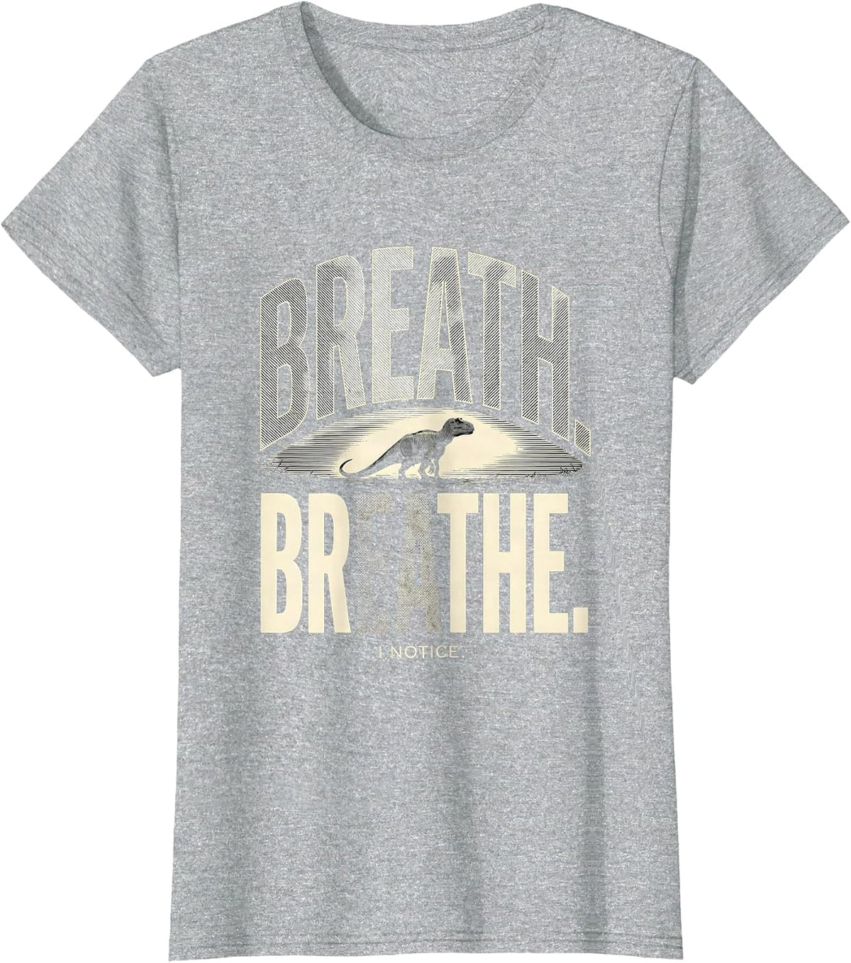 Breath Breathe I Notice Funny Grammar Teacher Dinosaur Humor T-Shirt - Heather Grey