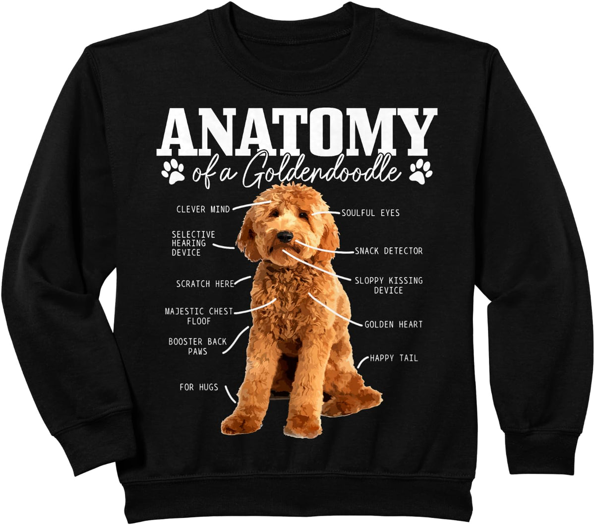 Anatomy Of A Goldendoodle Funny Cute Dog Doodle Mom Dad Sweatshirt - Black