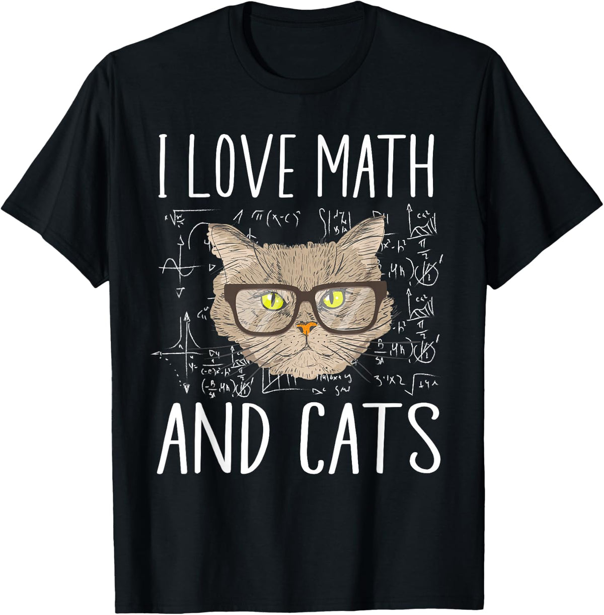 I Love Math and Cats Funny Cat Lover Science Teacher Student T-Shirt - Black