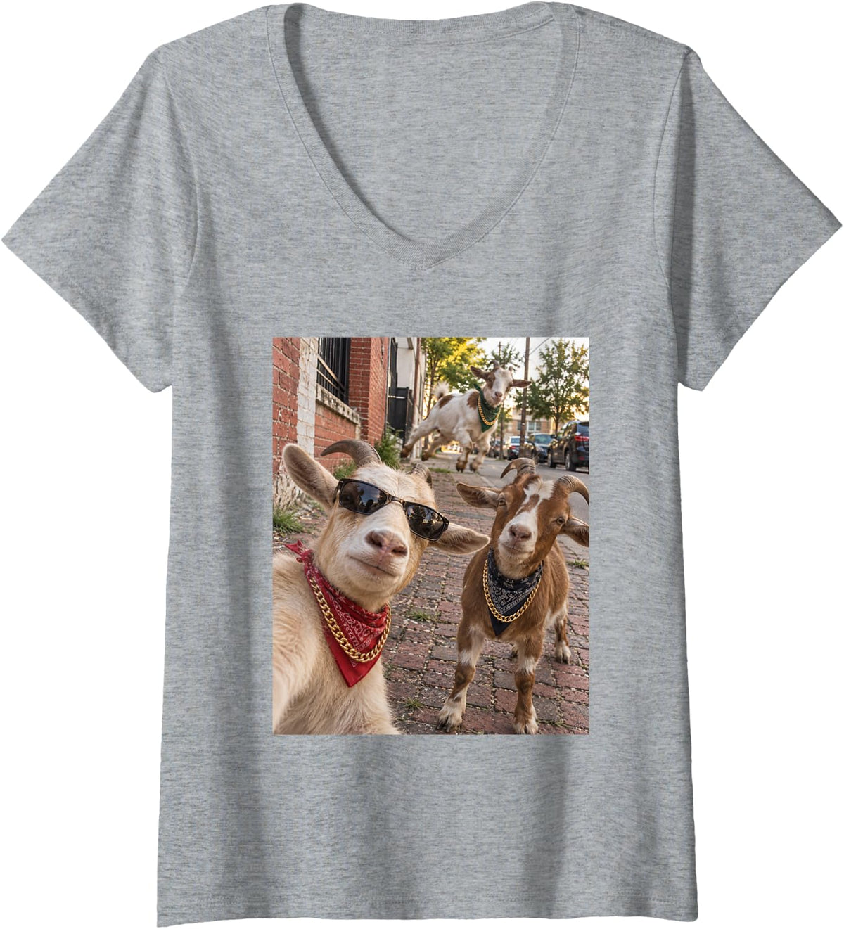 Women's Funny Goat Street Photobomb Gangster Farm Animal Meme V-Neck T-Shirt - Heather Grey